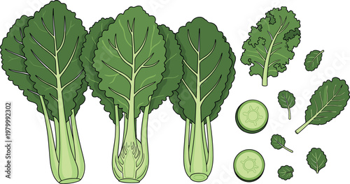 Rock cliff texture with rugged natural formation and dramatic surface details, outdoor geological background for nature and landscape design