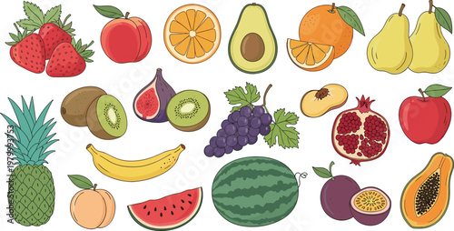 Fresh fruits collection vector set with apple banana pineapple watermelon grapes kiwi orange and tropical healthy food illustration
