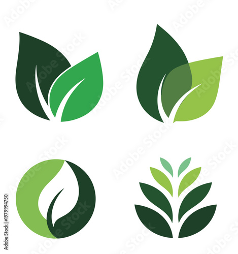 Four stylized green leaf on white background leaves nature