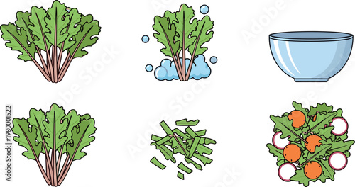 Salad preparation sequence with fresh greens washing, chopping and serving in bowl, healthy food process in vector illustration set