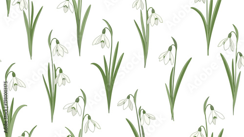 Elegant seamless pattern of white snowdrop flowers with green leaves on white background representing the start of spring.