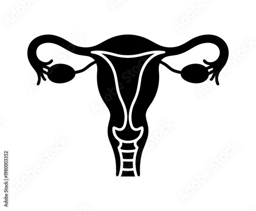 Female Reproductive System Vector Icon, Uterus Anatomy Silhouette Illustration