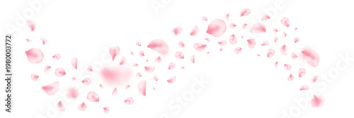 Spring cherry blossom frame. Sakura petal flying composition. Japan flower banner. Cosmetic beauty product wave. Natural decoration. Spa pink rose bg. Valentine romantic card. Vector illustration