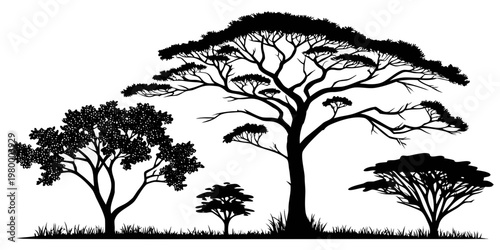 Silhouette of various trees including acacia with grass on a white background black and white tree group line art organic shape silhouette environment deciduous collection illustration