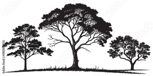 Silhouette of acacia trees and other trees with grass on a white background tree group line art organic shape silhouette environment deciduous collection illustration isolated