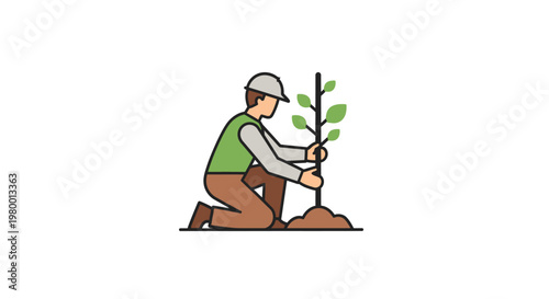 Man planting a small green tree.