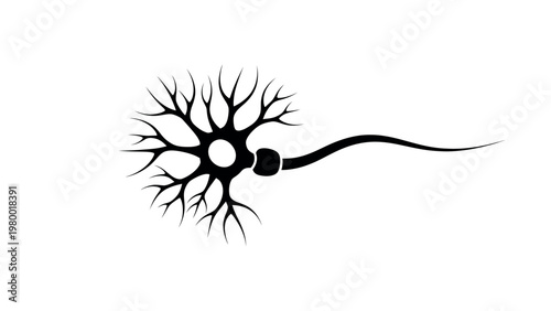 Neuron icon silhouette nerve cell vector