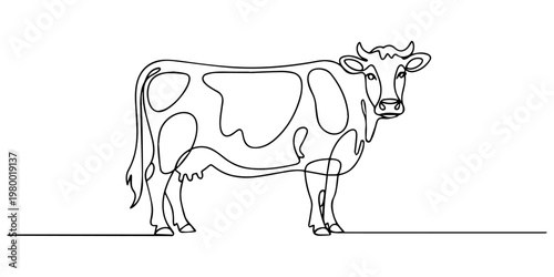 Minimalist single continuous line drawing of a dairy cow standing on a plain white background Vector, illustration, Cow line design. Simple animal silhouette decorative elements drawn.