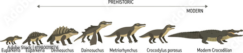 Prehistoric crocodile evolution displays the chronological development from ancient species to modern crocodilians.