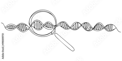 Line art of dna strand with magnifying glass highlighting genetic research. no editable stroke, DNA analysis. One continuous line drawing of DNA and Magnifying glass. Can used for logo, emblem, slide.
