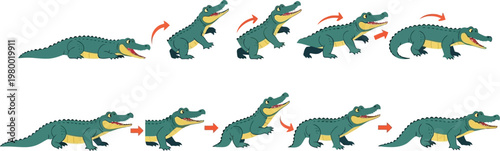 Crocodile locomotion sequences demonstrate the various walking and movement patterns of the reptile in a clear instructional format.