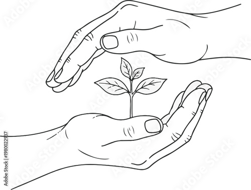 A pair of hands gently holding a small plant with leaves