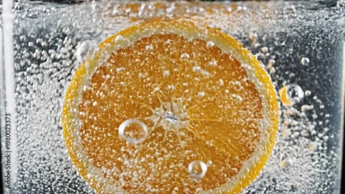 Lemon Slice Dropped into Water Collage