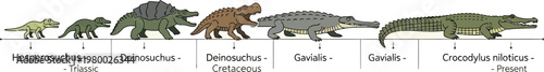 Crocodilians representing the evolutionary timeline are displayed in a chronological scientific illustration.