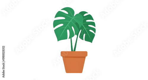 monstera design, plant design, houseplant design, indoor design, foliage design, leaf design, tropical design, greenery design, botanical design, nature design, decor design, home design, interior des