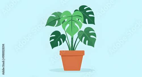 monstera design, plant design, houseplant design, indoor design, foliage design, leaf design, tropical design, greenery design, botanical design, nature design, decor design, home design, interior des
