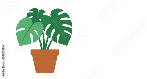 monstera plant illustration, monstera deliciosa illustration, swiss cheese plant, indoor plant illustration, house plant illustration, tropical plant illustration, green plant illustration, leafy plan