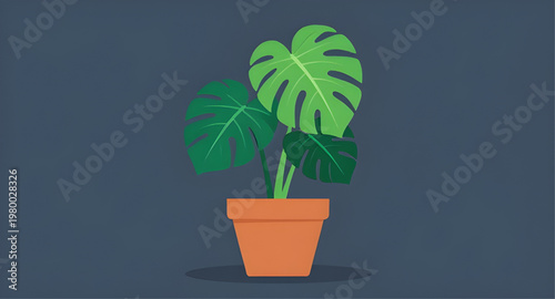 monstera plant illustration, monstera deliciosa illustration, swiss cheese plant, indoor plant illustration, house plant illustration, tropical plant illustration, green plant illustration, leafy plan