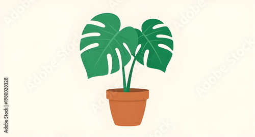 monstera plant illustration, monstera deliciosa illustration, swiss cheese plant, indoor plant illustration, house plant illustration, tropical plant illustration, green plant illustration, leafy plan