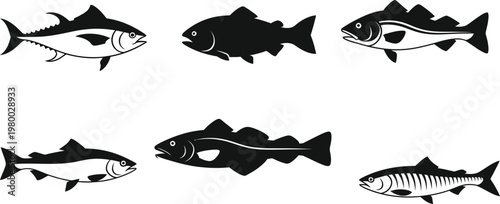 Six black silhouette fish on white background tuna salmon