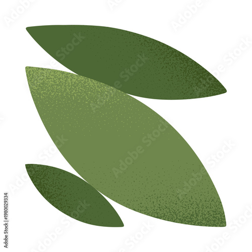 Square organic composition with green layered leaves.Bold foliage shapes with soft grain texture.Abstract decorative nature motif for prints,cards,packaging,branding.