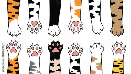 Row of various colorful and patterned cat paws with pink pads and small claws reaching out from the top and bottom of a white background.