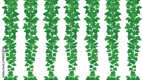 Green ivy vines with lush leaves hang vertically to create a natural foliage border or background element on a white surface.