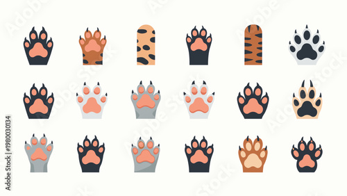 Collection of different animal paw prints and footprints belonging to domestic pets and wild animals in a clean flat style.