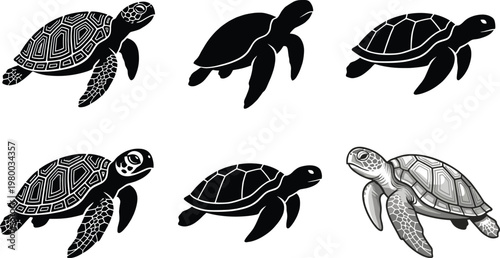Sea Turtle Silhouette and Outline Set with Different Styles, Marine Animal Collection Vector Illustration for Ocean, Wildlife, Tattoo, and Design