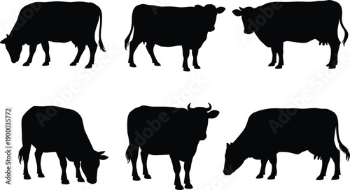 Cow silhouettes collection showing different poses of grazing and standing cattle