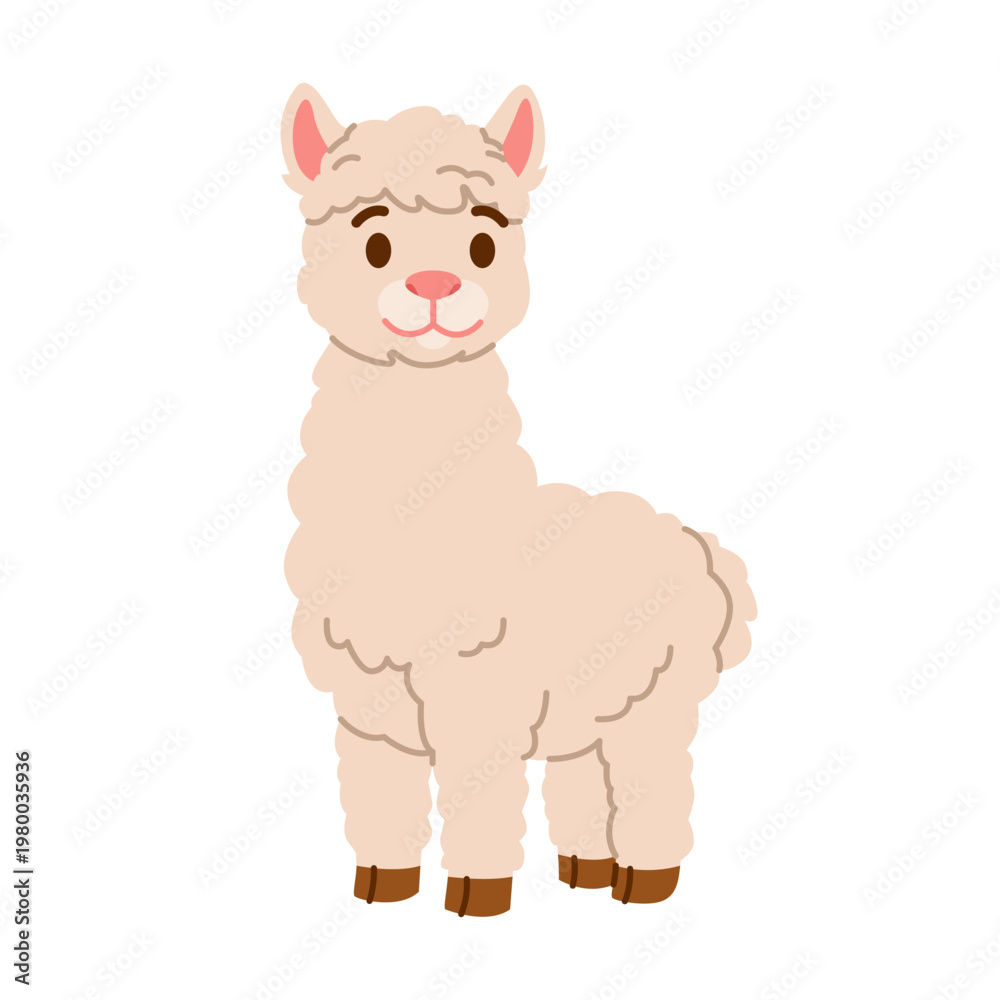 Fototapeta premium Cute Alpaca Character with Fluffy Fur Standing on White Background. Farm Animal. Flat Vector Illustration.