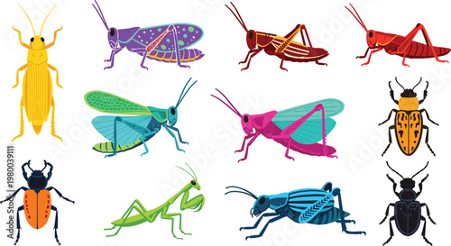 Colorful Insects Vector Set Featuring Grasshoppers, Crickets, Beetles, and Mantis for Nature, Wildlife, and Insect Designs