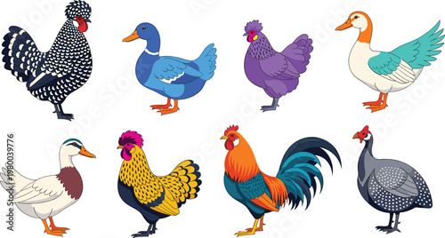 Colorful Farm Birds Vector Set Featuring Ducks, Chickens, Roosters, Geese, and Quails for Poultry and Animal Designs