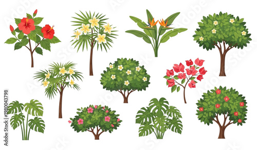 Tropical shrubs and flowering trees vector set flat botanical illustration