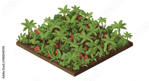 3D isometric view flat style illustration of dense tropical jungle forest with trees and plants, natural ecosystem environment full of greenery