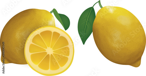 isolated lemon realstic illustration. whole lemon and sliced ​​lemon with leaves