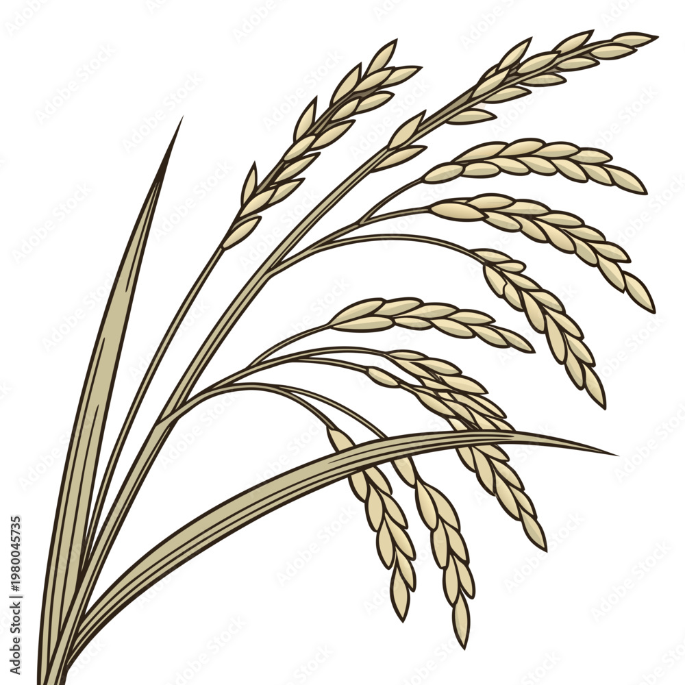 Obraz premium An illustration of a bunch of golden wheat or rice plant on isolated for design uses