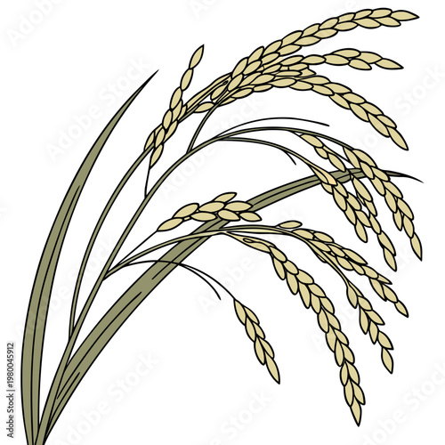 A bunch of rice ears with green leaves