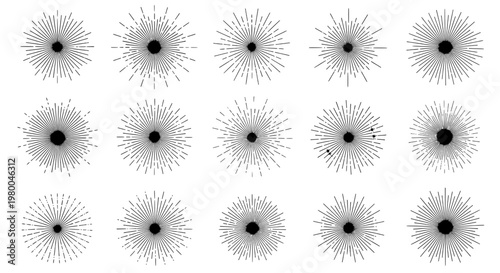 Dandelion puffburst icon pack with minimal line rays and small seed core, white background, vector-style clipart for design