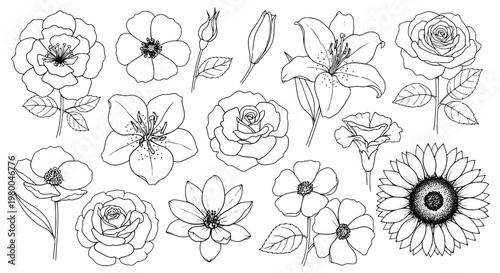 Flowers hand-drawn set with intricate black line art detailing featuring floral, botanical, nature with illustration and sketch elements for
