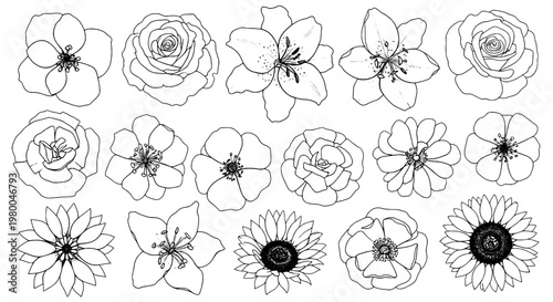 Flower outline icons set with delicate petals and hand-drawn linework for nature wedding and greeting designs