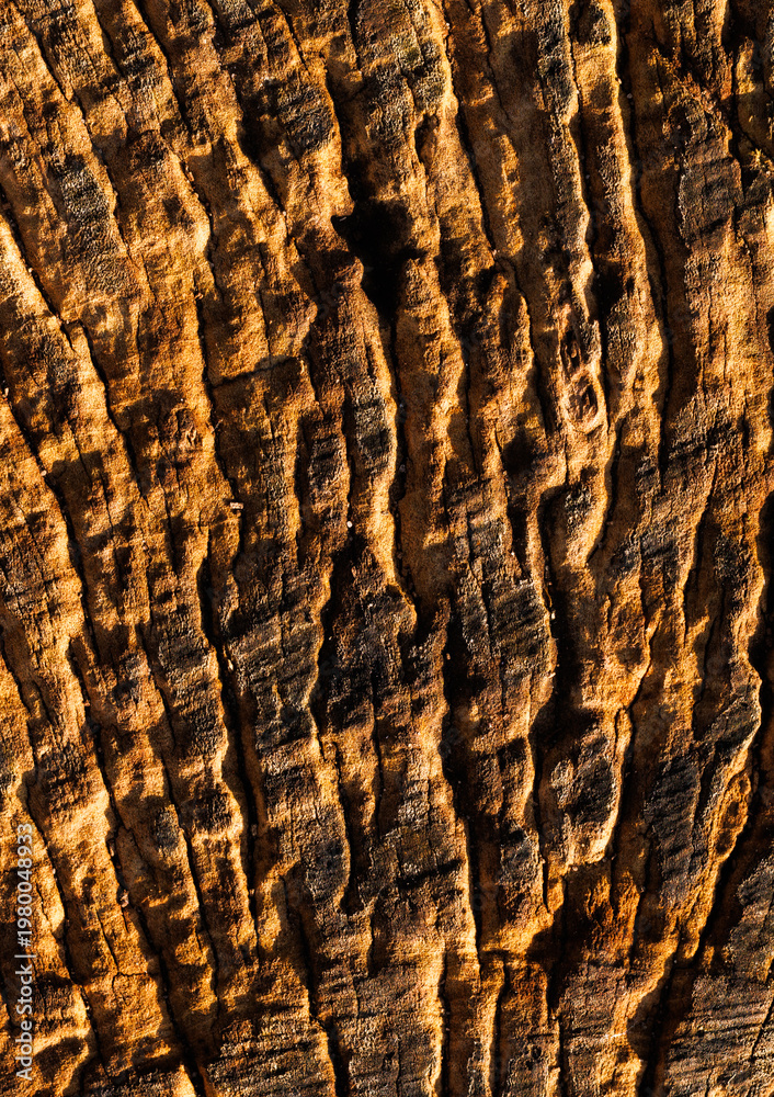 Fototapeta premium old wooden texture 