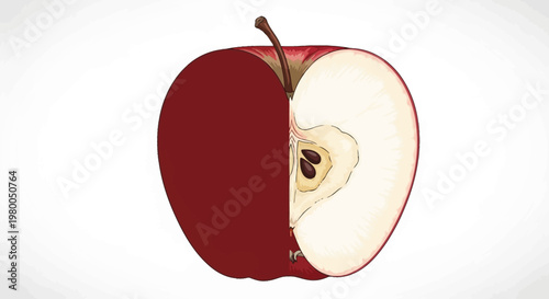 Vibrant red apple cut in half revealing juicy white flesh seeds and core structure presented against a clean white background perfect for health and nutrition concepts