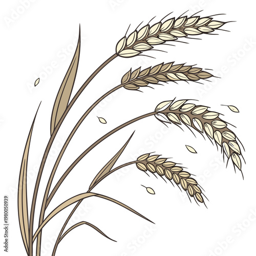 An illustration of a bunch of wheat ears with leaves
