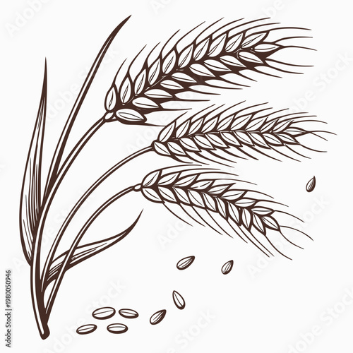 Brown illustration of wheat ears and seeds