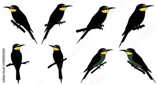 Collection of eight black bee eater birds with yellow throats perched on thin branches isolated on a white background showcasing different poses and angles for design elements