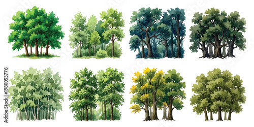 Watercolor woodland tree clusters and forest groves with lush foliage, architect map plan elements, isolated on transparent background