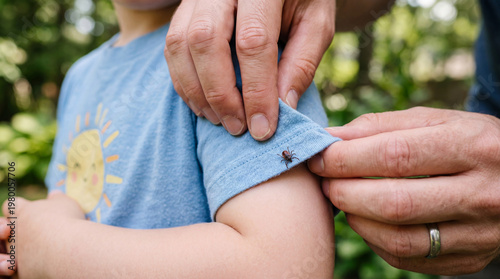Parent checking child t-shirt for tick in forest. Dangerous parasite crawling on clothes. Lyme disease and encephalitis prevention. Summer outdoor activity safety and medical health precaution.