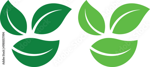 Two sets of stylized leaves in contrasting green shades arranged symmetrically