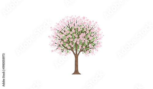 Minimal cherry blossom tree vector flat illustration spring design